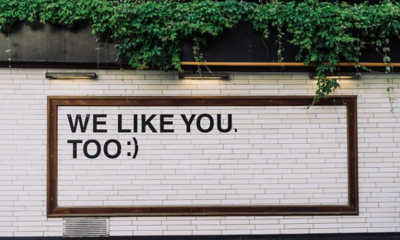 The Hive Marketing Collective - Typography & Design