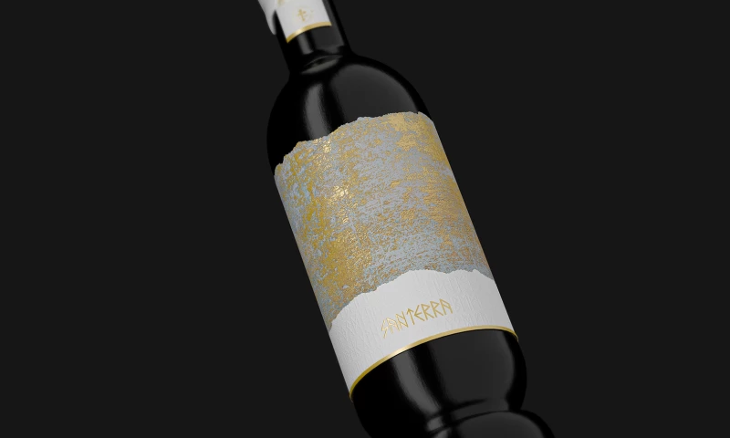 Mompo estudio - Santerra