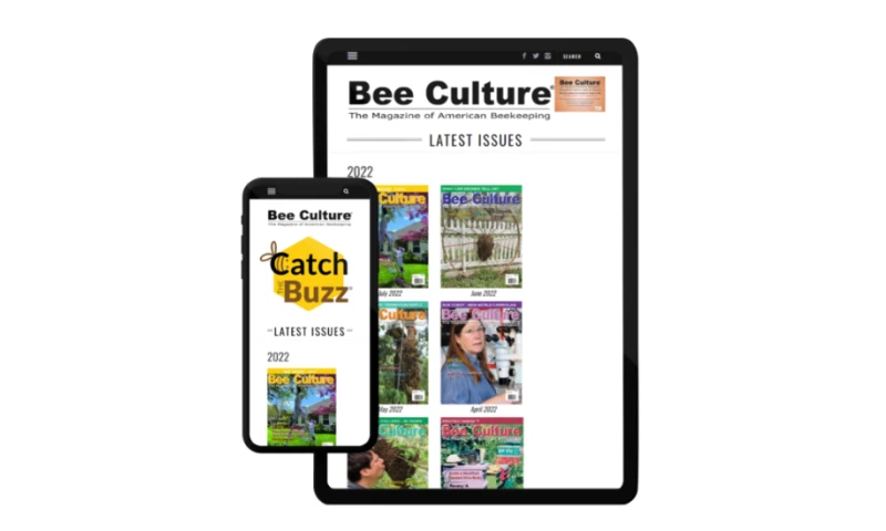 Innovative Software Design & Development for Beekeepers
