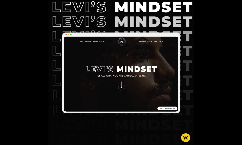 Levi's Mindset