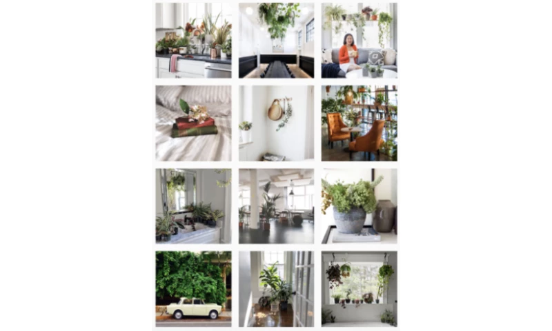 Ninjapromo - Garden Shop Case