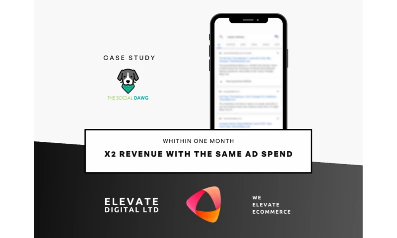 x2 Revenue with the same ad spend in 1 month