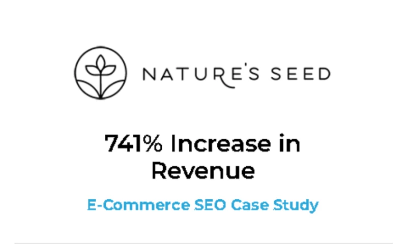 741% Increase in Revenue