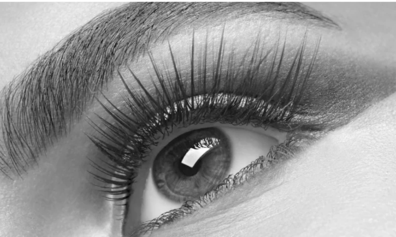 Account re-build & messaging improvements fuel new customer growth.