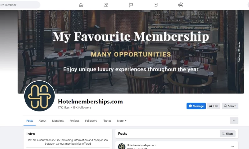 Bee Digital Marketing Agency - TLC Relationships