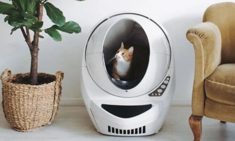 66M Views, 93K Site Visits, and 6 Figures in Sales: How UBQ Helped Litter Robot Dominate The Internet