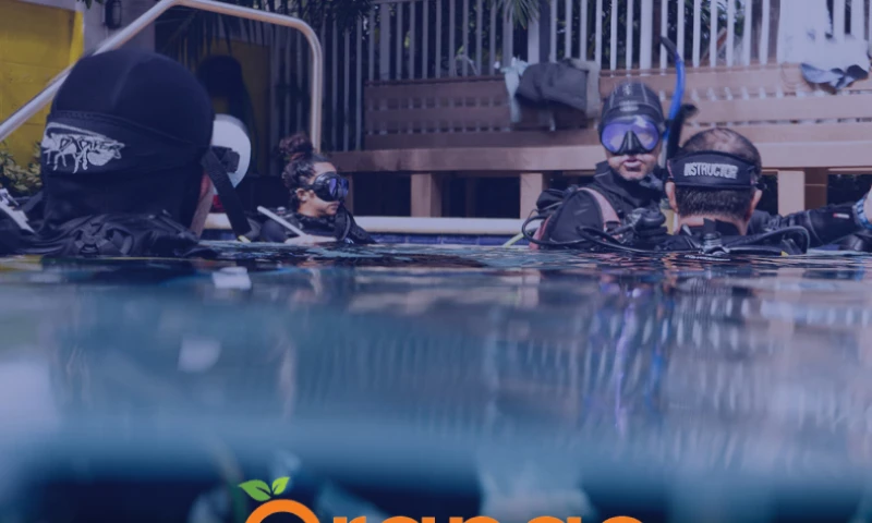 20.98% Y-o-Y Increase in eCommerce Sales for Dixie Divers