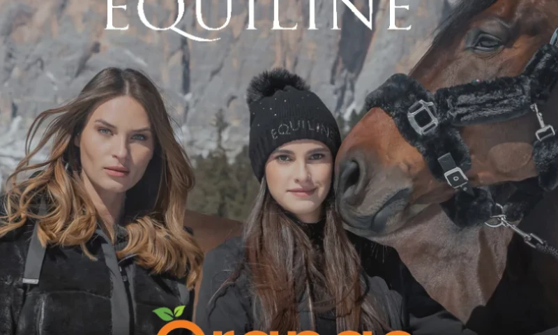 Increased eCommerce revenue by 911.2% in the year 2022 compared to 2021