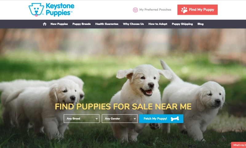WebTek - Keystone Puppies Website