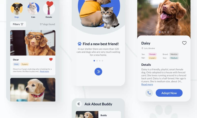 Ralabs Design - Pet Shelter App Design