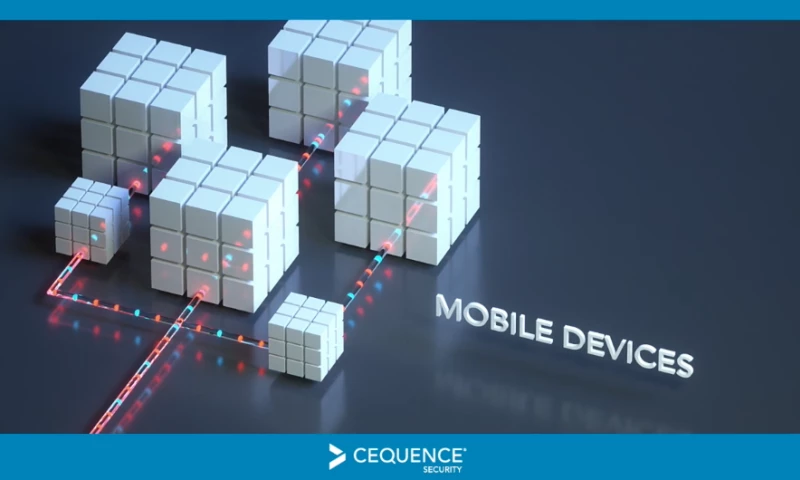 Cequence Security Explainer
