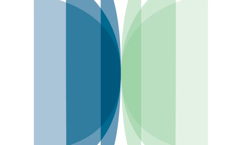 Vim Digital - SEO (Financial Services company)