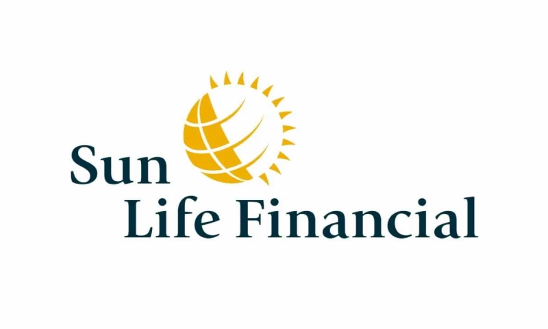 Vim Digital - SEO (Financial Services company)