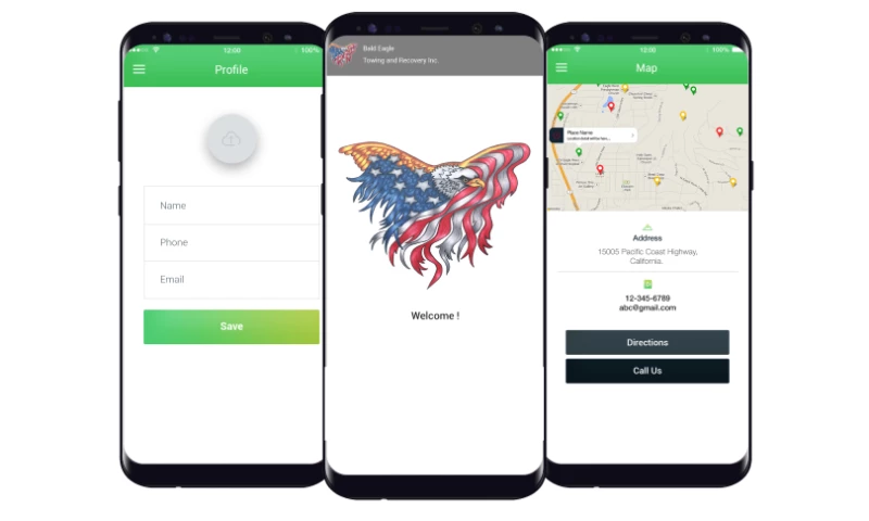 Biz 4Solutions - Bald Eagle