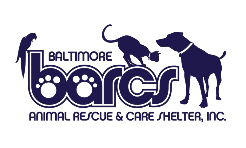 idfive - Baltimore Animal Rescue & Care Shelter