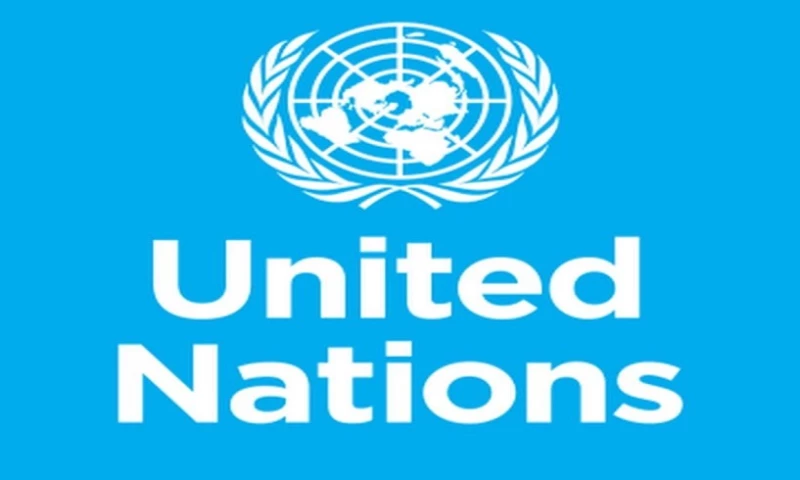 Website Development for UN in India
