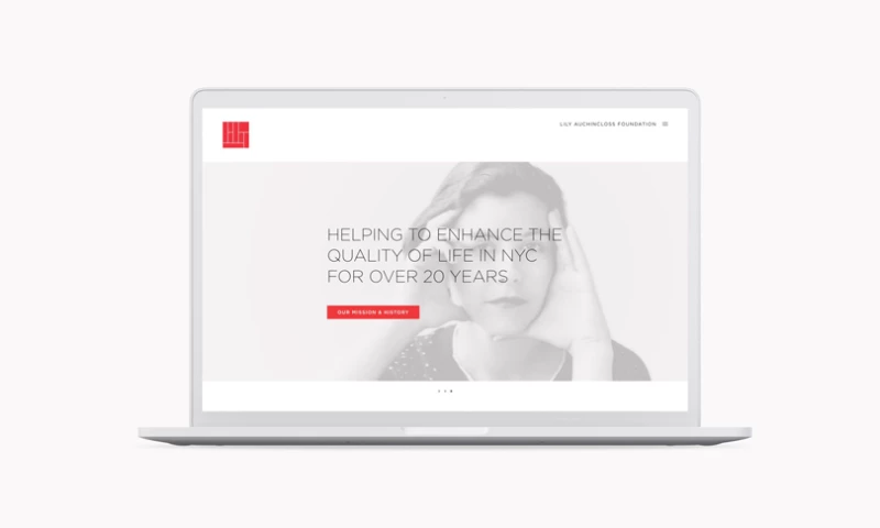 Level Group - Lily Auchincloss Foundation Website