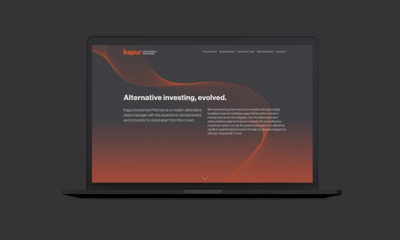 Level Group - Kapur Investment Partners Website