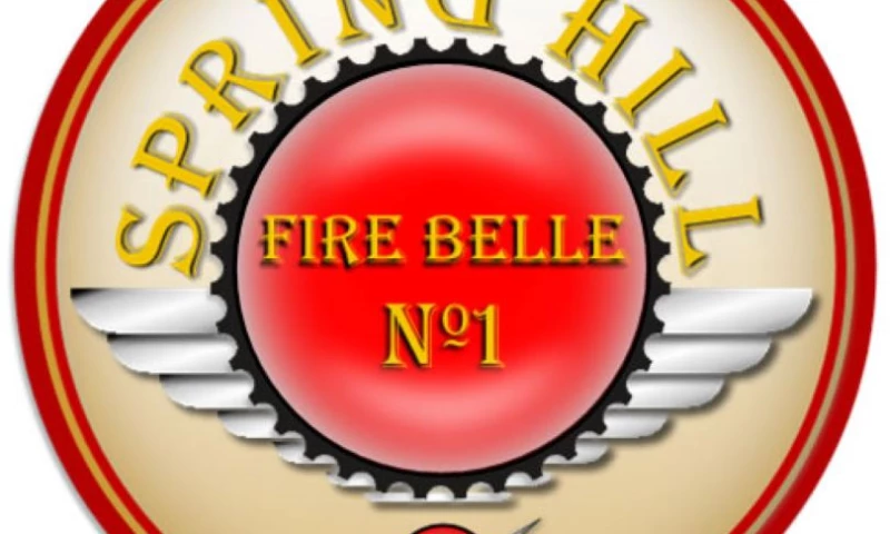 Big Picture Web Design - Firebelle Project