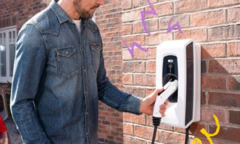 Egg ecommerce website and app development