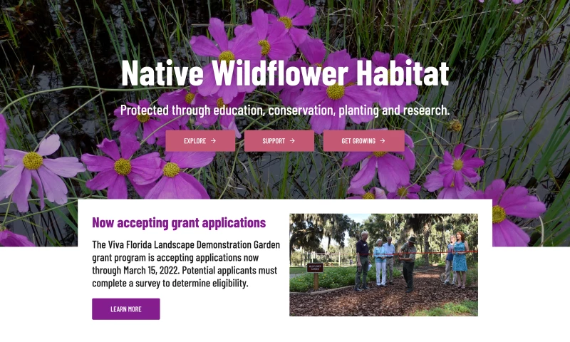 Afteractive - Florida Wildflower Foundation