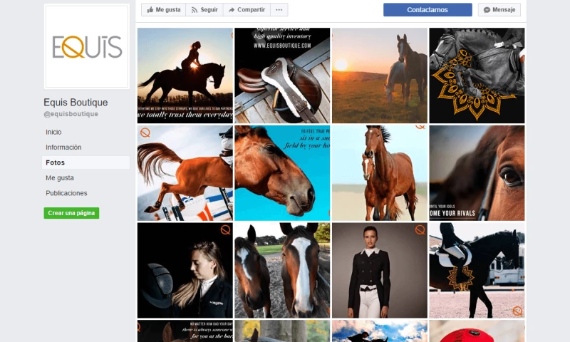 Oruga Studio - Equis Ecommerce