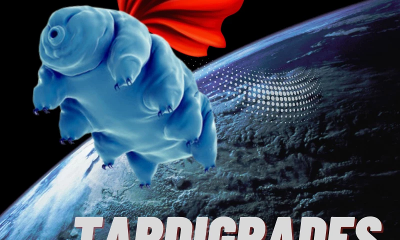 Tardigrades To Save Planet Earth!