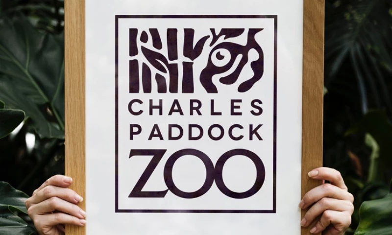 Motif Brands - Zoo Branding and Design