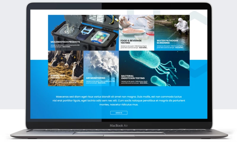 Insignia Creative - MolendoTech