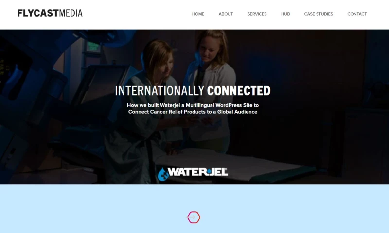 Flycast Media - A Significant Boost In Sales Worldwide With A Multilingual, Multicurrency Wordpress Design