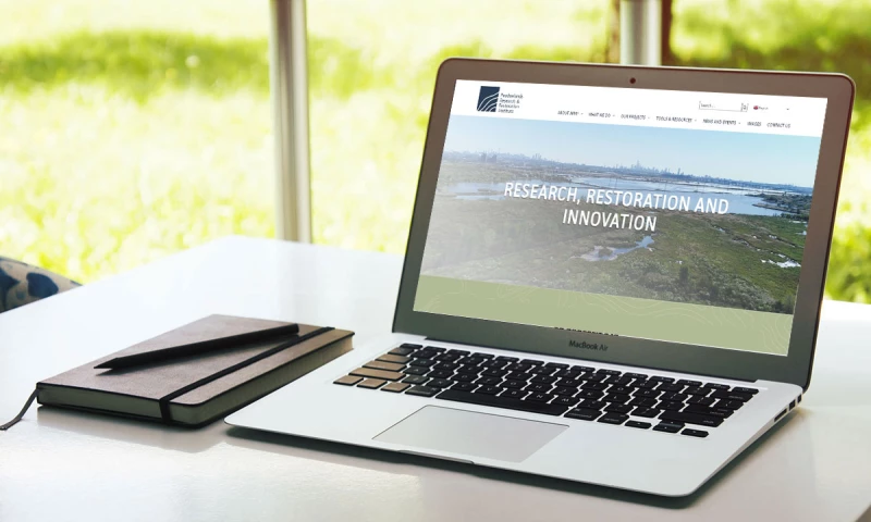 South Jersey Web Design - MRRI