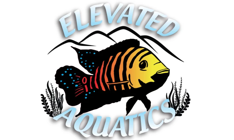 studioFLOYD - Elevated Aquatics