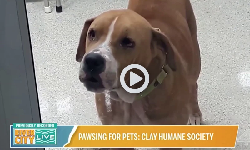 CASE STUDY: Driving Donations Through Media Coverage