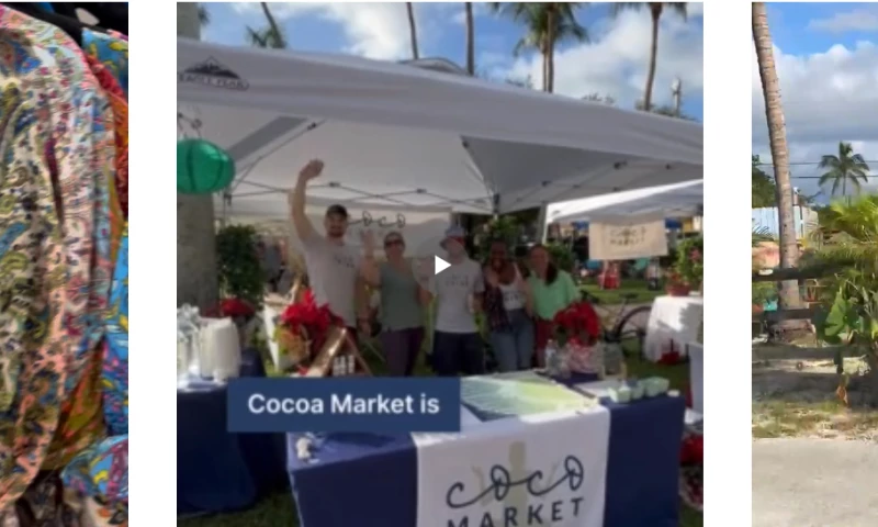 Mindful Body Productions - I Can Reel You In with User Generated Content