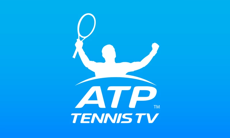 Punchee Media - YouTube Consulting