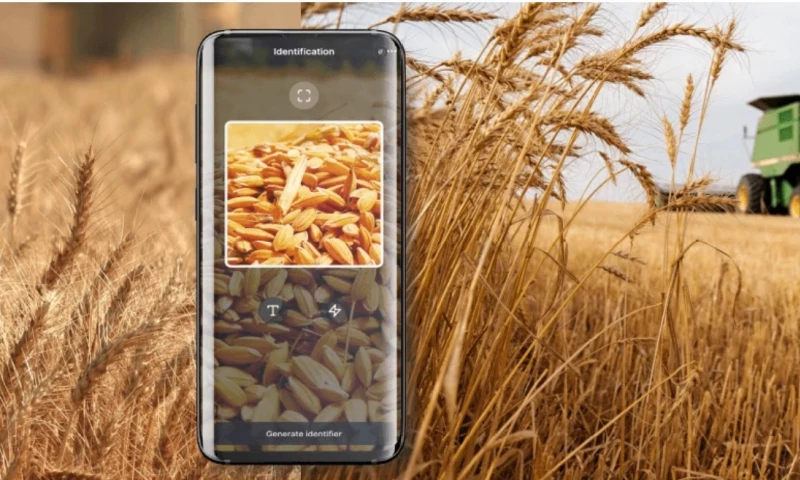 Lemberg Solutions - Inarix