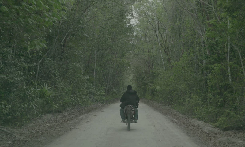 Created Agency Brussels - Forging a new world - EU in the world