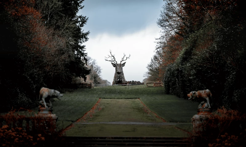 Webbiz - Curraghmore House