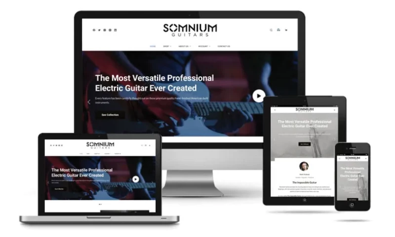 Somnium Guitars Website