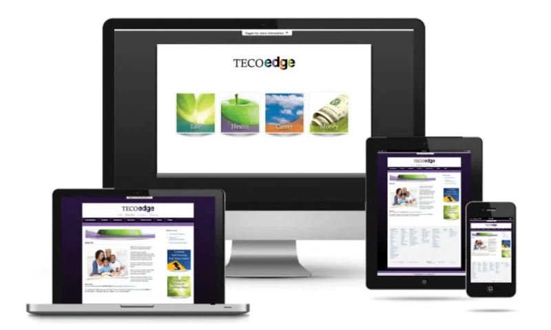 Nick France Design - TECOedge HR/Benefit Website