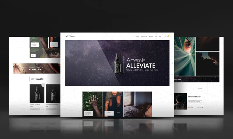 Valle Studio - Artemis