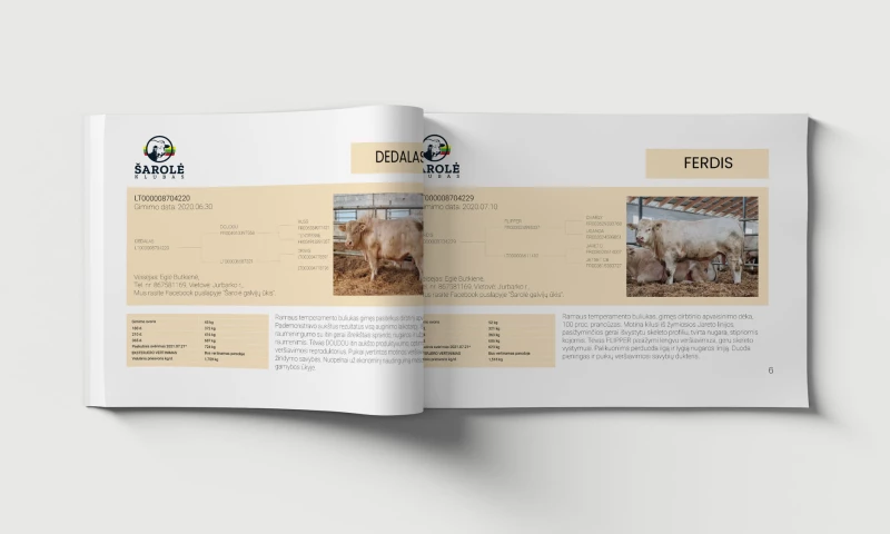 Judiko Studio - Šarolė catalogue design