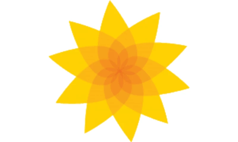 Marketing Objectives in a Merger: A Case Study