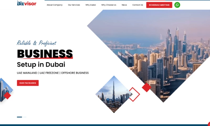 Digitalroar Softlabs - Bizvisor