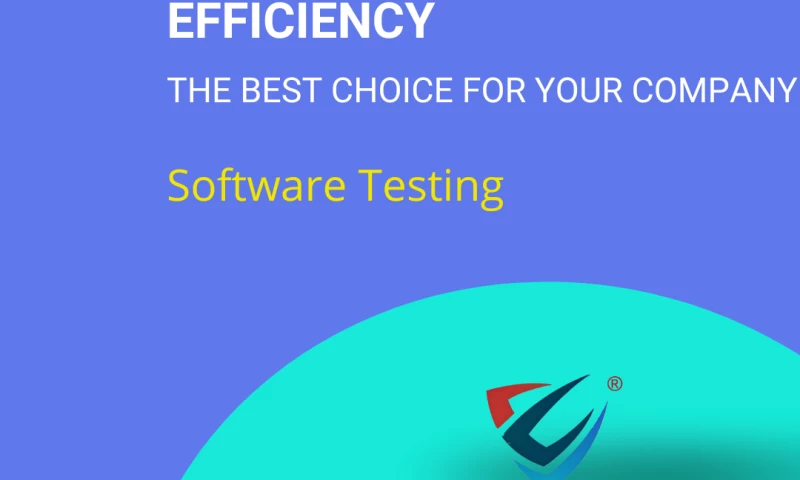 The VP Techno Labs International - Application Functional & Security Testing