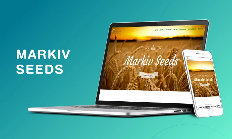 Quarks Systems - Markiv Seeds