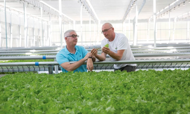 Ten Feet Tall - MASSDEVELOPMENT | GETTING TO THE HEART OF A COMPLEX BRAND