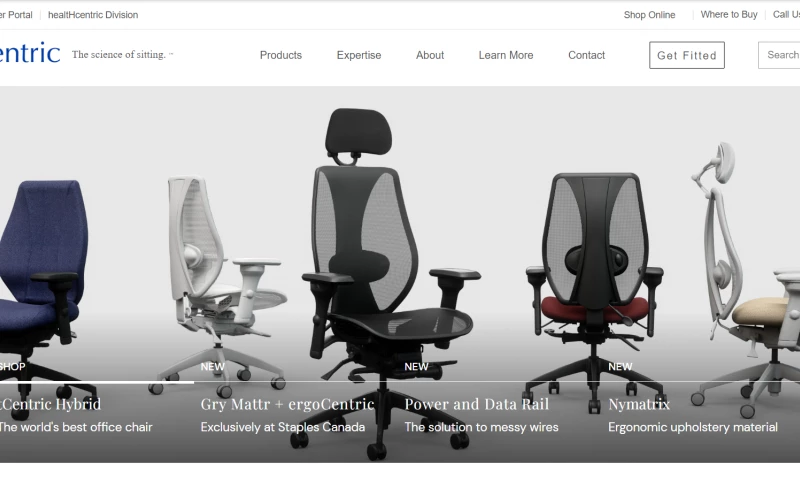 Expert Level Ecommerce Web Design/Development