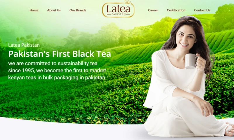 Web Artizum - Latea Pakistan