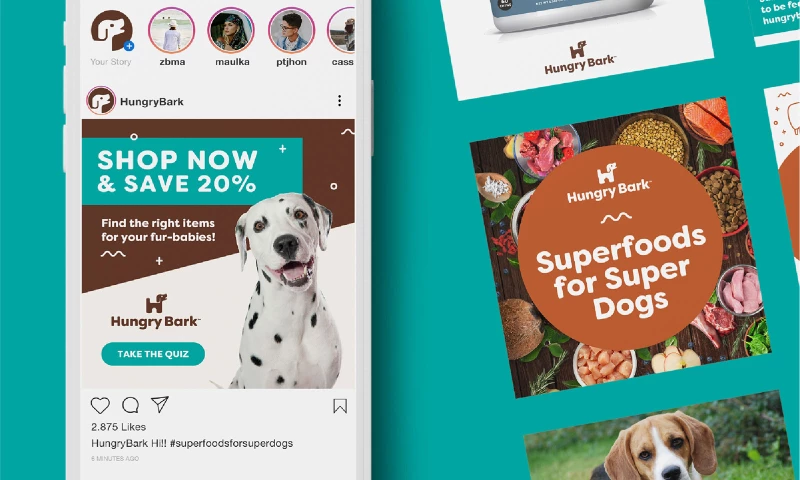 Designed.co - Hungry Bark - Social Media Campaign